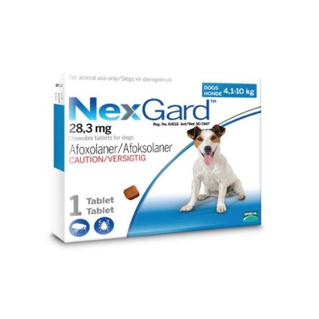 NexGard Monthly Chewables Tick & Flea Tablet Medium Dogs 4-10kg (1 Tablet)