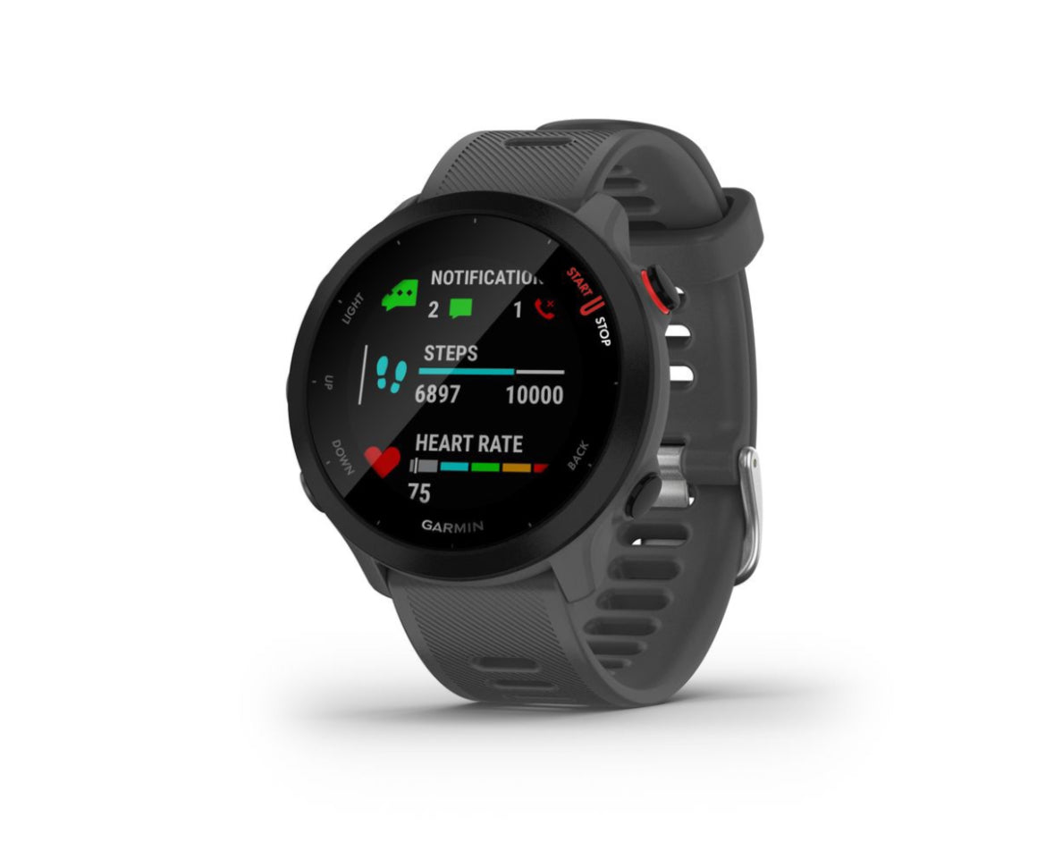 Garmin Forerunner 55 Smartwatch - Monterra Grey - image 1