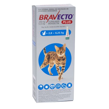 Bravecto Plus 3 Monthly Spot-On Tick & Flea Medium Cats 2.8 - 6.25kg 1 Pip