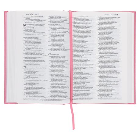 NLT Standard Bible, Hardcover, Pink