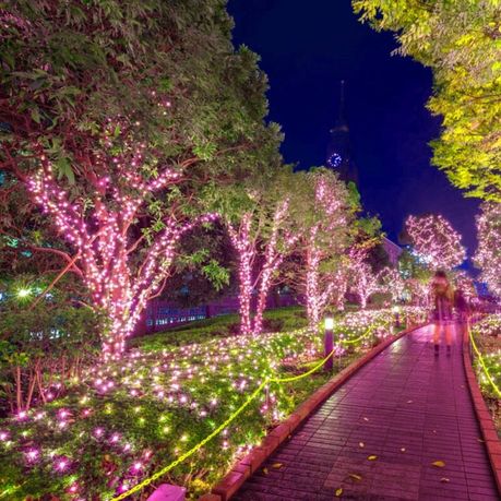 String Lights Fairy Lights Outdoor Solar -100 LED Bulbs Christmas Lights x3